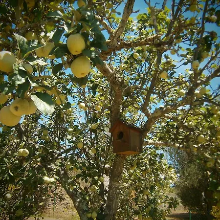 Quinta Do Tempo