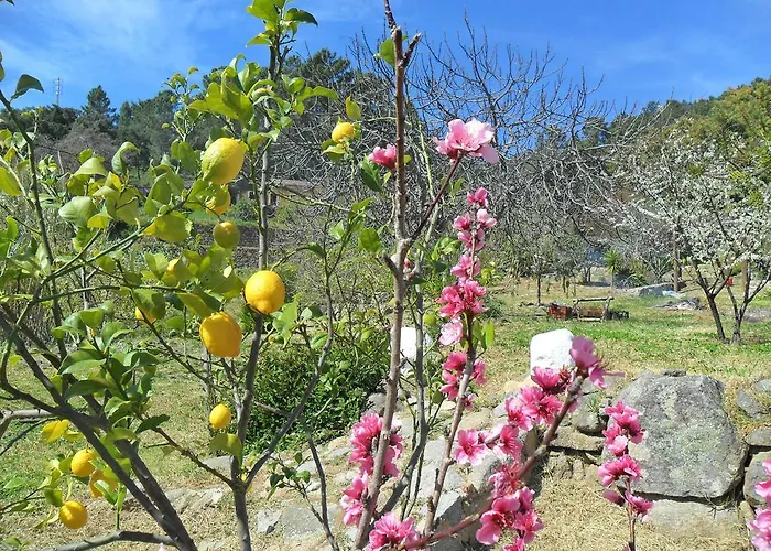 Quinta Do Tempo Monchique