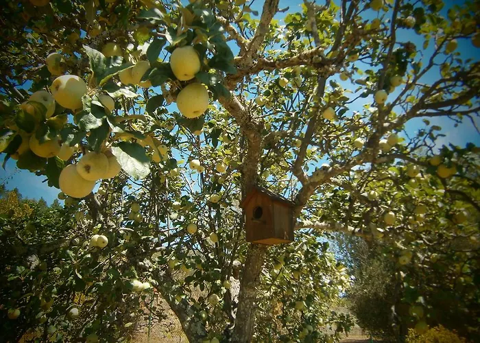 Quinta Do Tempo