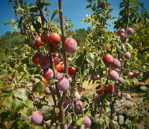 Quinta Do Tempo Monchique