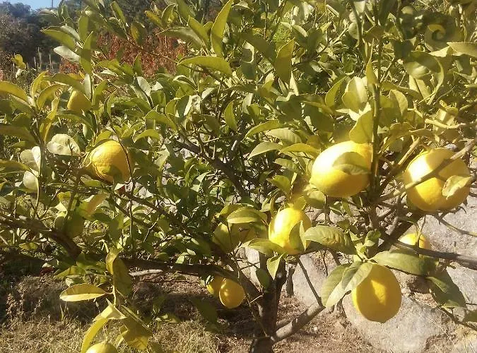 Quinta Do Tempo