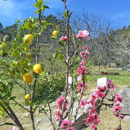 Quinta Do Tempo 蒙希克