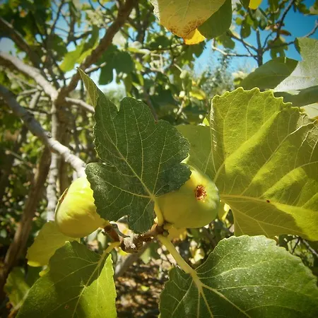 Quinta Do Tempo Εξοχικό σπίτι *