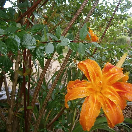 Quinta Do Tempo Hétvégi ház Monchique