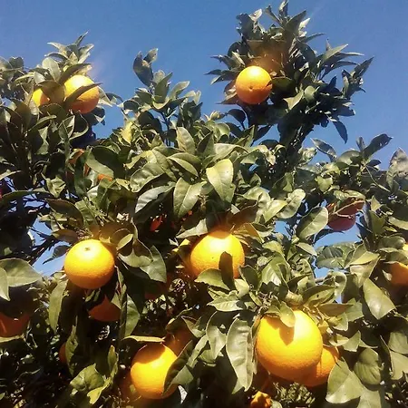 Quinta Do Tempo * Monchique