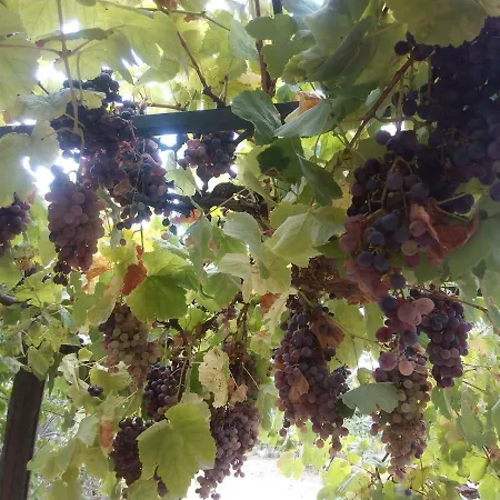 Quinta Do Tempo * Monchique