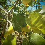Quinta Do Tempo Εξοχικό σπίτι *