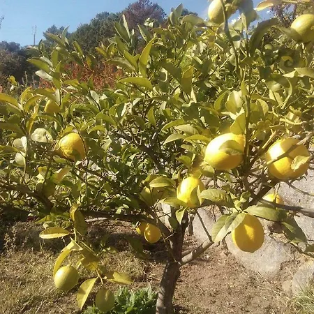 Quinta Do Tempo